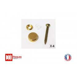 Kit de fixation pour plaque signalétique laiton plat