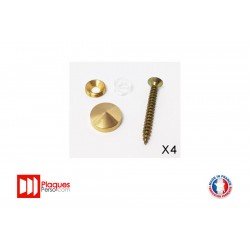 Kit de fixation pour plaque signalétique laiton conique