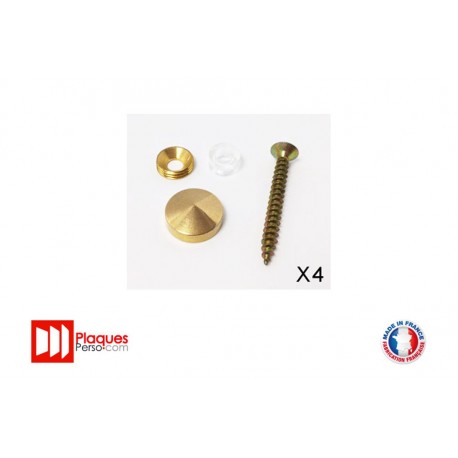 Kit de fixation pour plaque signalétique laiton conique