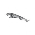 Plaque immat Jaguar